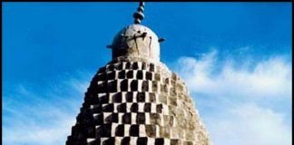 دانلود پاورپوینت معماری زنبور عسل