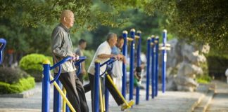 مقاله ارایه انگاره های محیطی موفق بر شکل گیری فضاهای عمومی مشوق سالمندی موفق در شهر شیراز