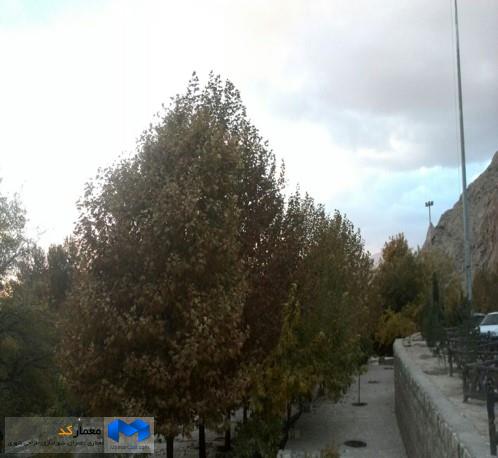 دانلود پاورپوینت خلاصه گزارش پیشنهادی شهر سیدان
